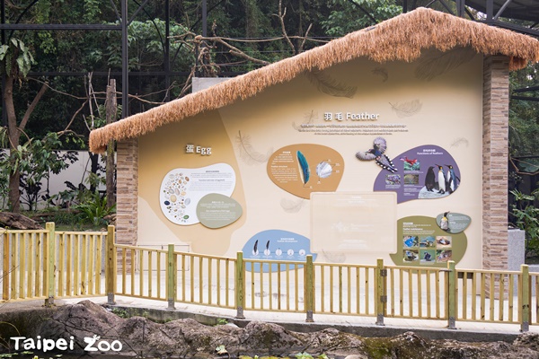 臺北動物園109周年慶  新雉科珍禽區邀您一起鳥瞰全世界