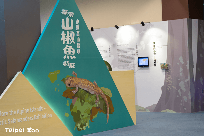 「走進高山島嶼 探索臺灣山椒魚」特展開幕，研究學者現身分享山椒魚來了紀錄片真實樣貌