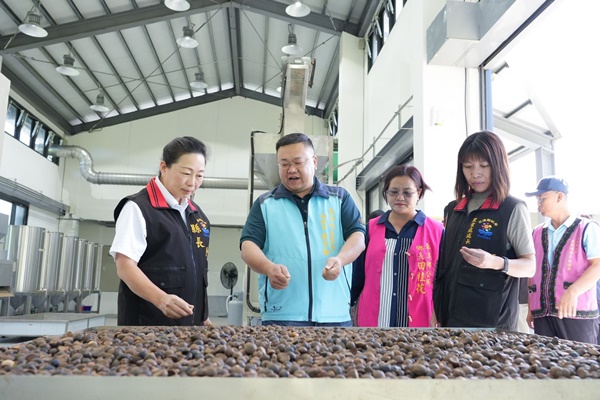 花蓮縣政府打造花蓮綠金產業 從生產到加工 攜手卓溪鄉公所、玉溪地區農會完善油茶產業鏈
