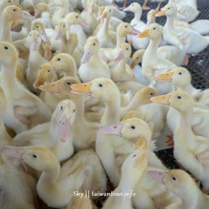 2025【礁溪美食.私房景點一日遊】宜蘭開車.客運.火車.機車