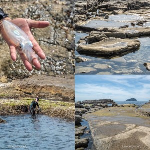 【大坪海岸】基隆八斗子親子玩水海岸秘境