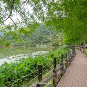【望龍埤.飛龍步道】花田村.宜蘭員山鄉景點推薦.附近美食