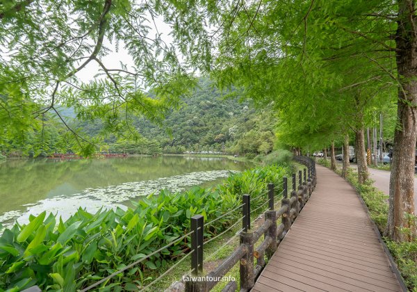 【望龍埤.飛龍步道】花田村.宜蘭員山鄉景點推薦.附近美食 【望龍埤.飛龍步道】花田村.宜蘭員山鄉景點推薦.附近美食