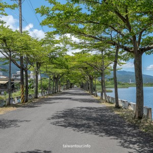 【下埔綠色隧道/四十甲溼地】宜蘭自行車親子步道