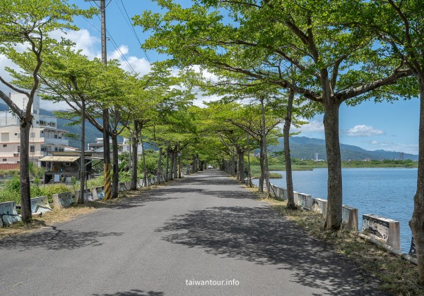 【下埔綠色隧道/四十甲溼地】宜蘭自行車親子步道 【下埔綠色隧道/四十甲溼地】宜蘭自行車親子步道