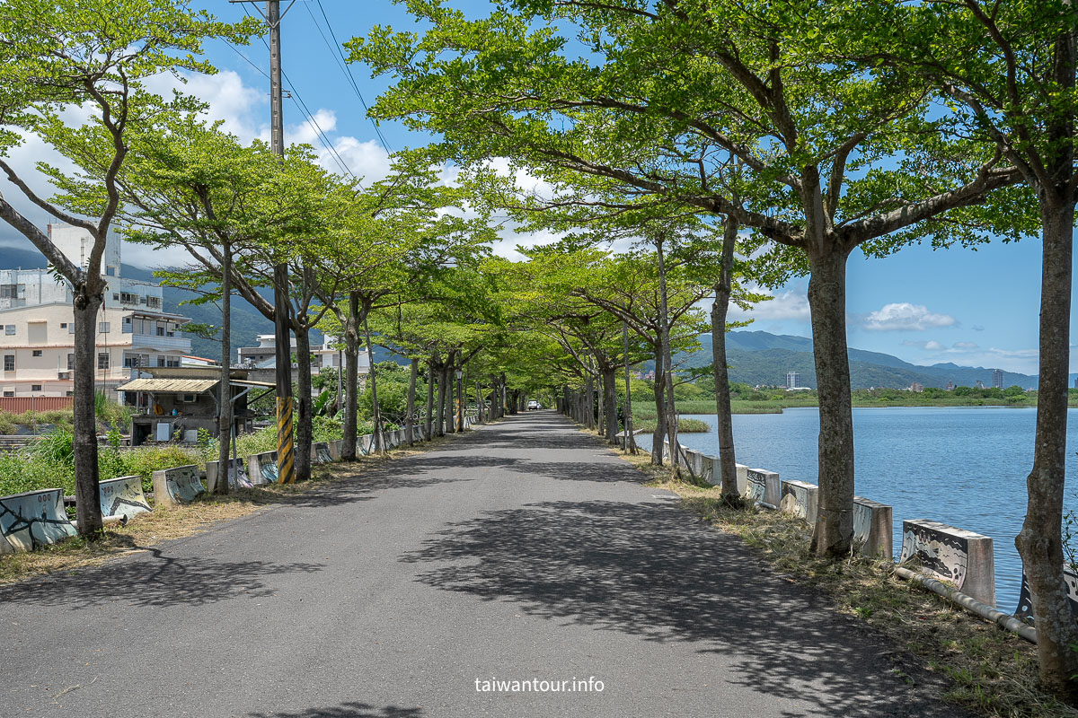 【下埔綠色隧道/四十甲溼地】宜蘭自行車親子步道 【下埔綠色隧道/四十甲溼地】宜蘭自行車親子步道