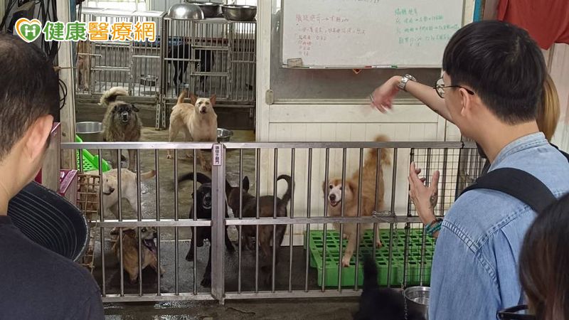 動物也需要長照:昱苗盒攜手善心企業呼籲關注動物長期照護議題 動物也需要長照:昱苗盒攜手善心企業呼籲關注動物長期照護議題