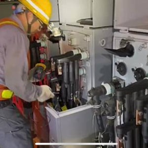 強化端節供電穩定   台電北市區處超前部署減少事故
