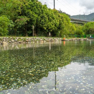2025【東岳湧泉公園】宜蘭免費玩水東澳景點交通.美食
