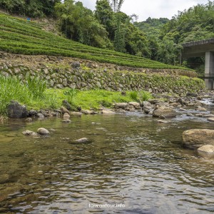 【下坑子口溪親水遊憩區】新北坪林親子玩水景點
