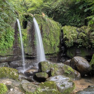 【貓空茶香環狀步道】木柵文山親子景點推薦
