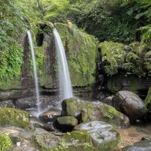 【貓空茶香環狀步道】木柵文山親子景點推薦