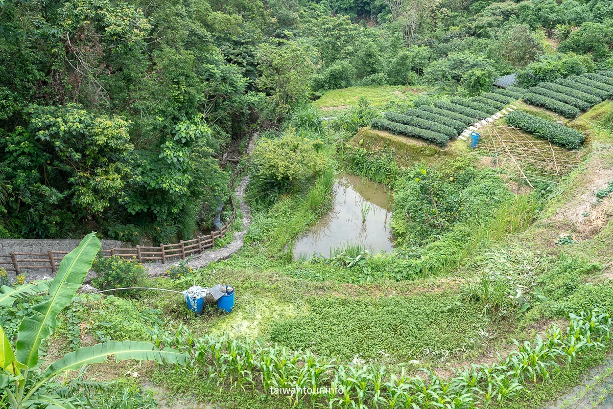 【貓空茶香環狀步道】木柵文山親子景點推薦 【貓空茶香環狀步道】木柵文山親子景點推薦