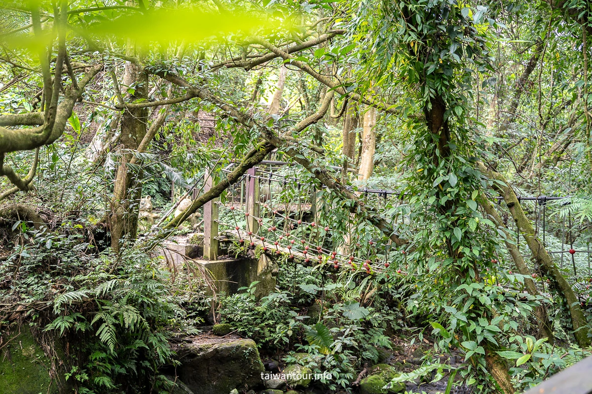 【貓空茶香環狀步道】木柵文山親子景點推薦