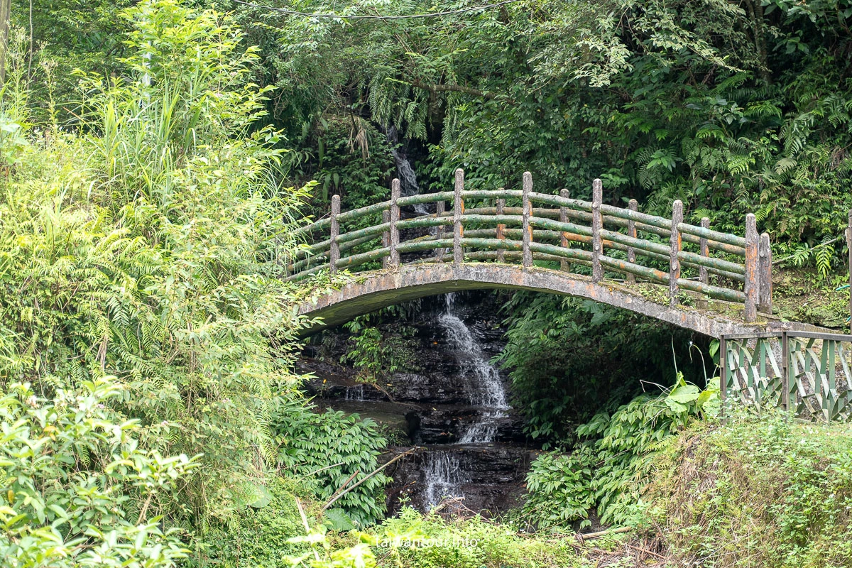 【貓空茶香環狀步道】木柵文山親子景點推薦