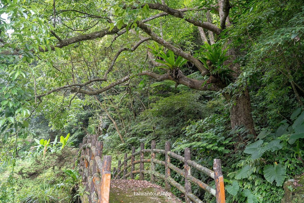 【貓空茶香環狀步道】木柵文山親子景點推薦 【貓空茶香環狀步道】木柵文山親子景點推薦