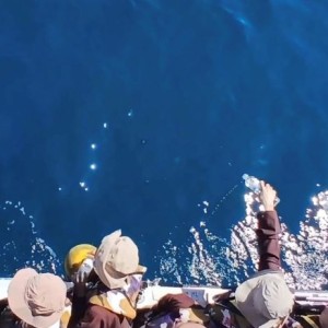 行願無盡愛地球    靈鷲山基隆嶼淨灘放流魚苗