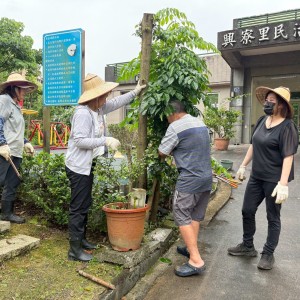 黃書筠里長率社區志工團隊打造「興寮角落花園」