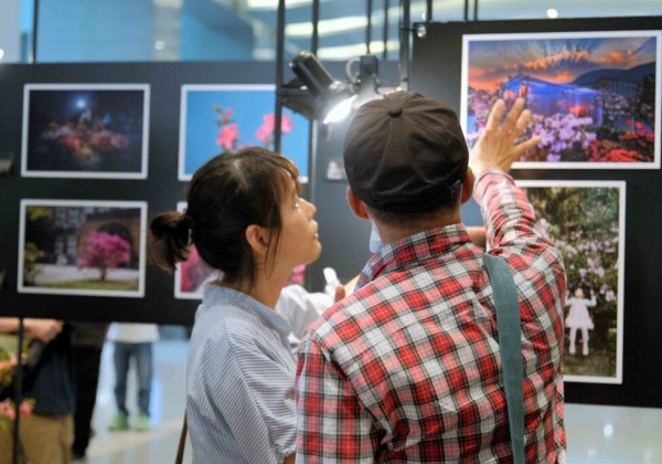 2025萬金杜鵑攝影展6月4日開展 觀展贈樹苗