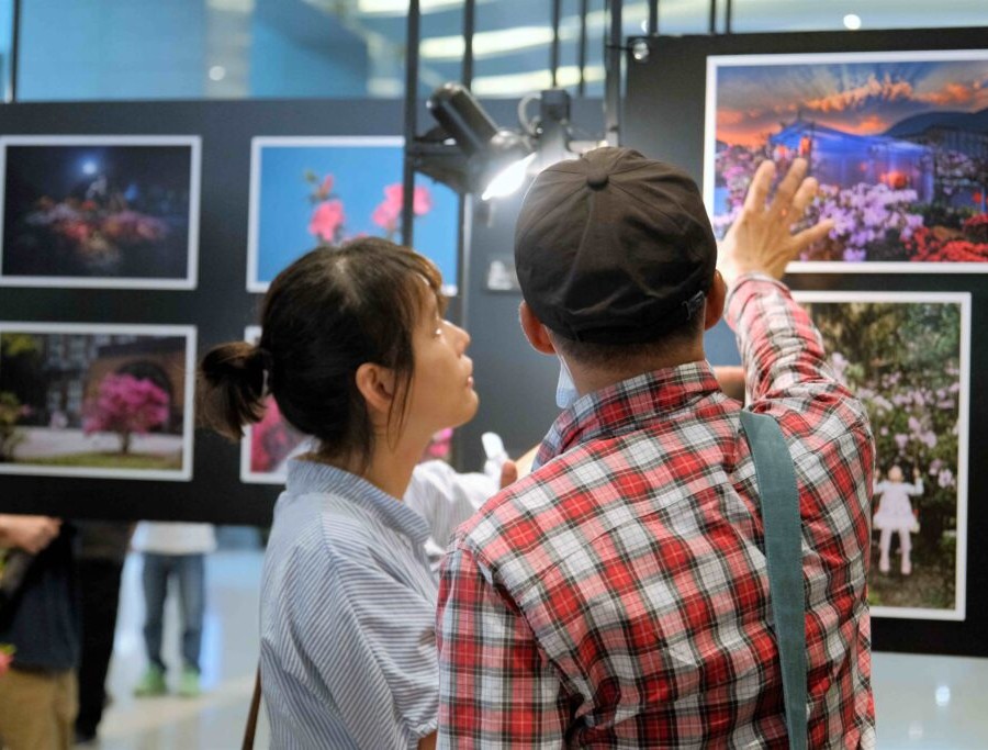 2025萬金杜鵑攝影展6月4日開展 觀展贈樹苗