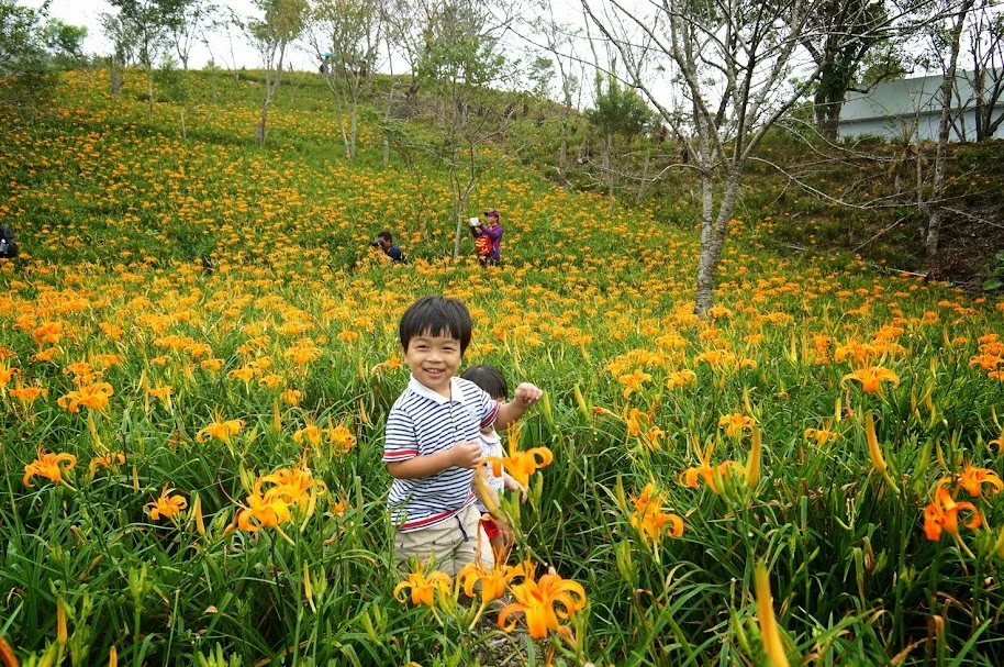 2025【台東景點.美食一.二日遊】民宿和食尚玩家推薦懶人包