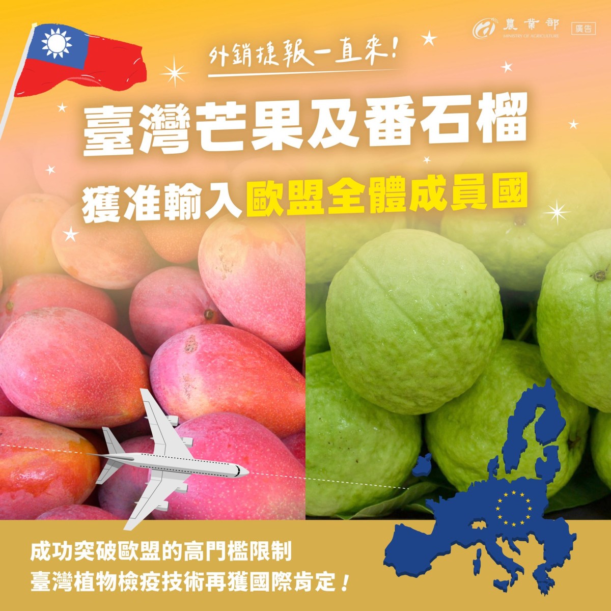 農產品外銷重大里程碑 歐盟開放我國芒果及番石榴輸入 農產品外銷重大里程碑 歐盟開放我國芒果及番石榴輸入