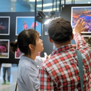 萬金杜鵑攝影展6/4開展   觀展贈樹苗