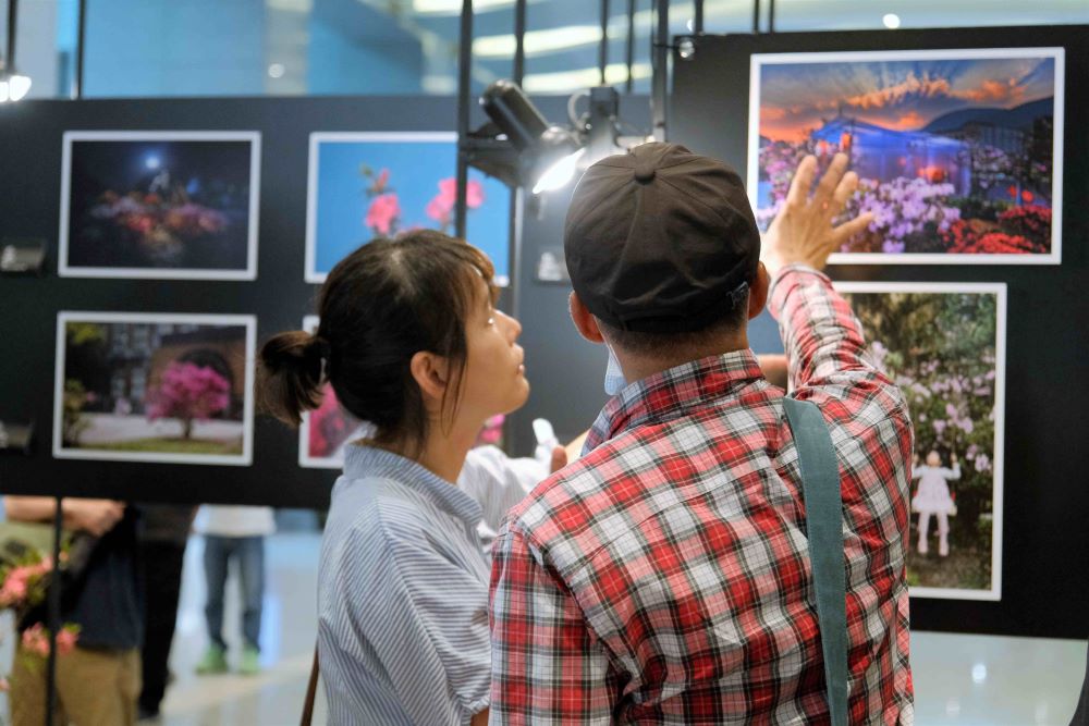 萬金杜鵑攝影展6/4開展 觀展贈樹苗 萬金杜鵑攝影展6/4開展 觀展贈樹苗
