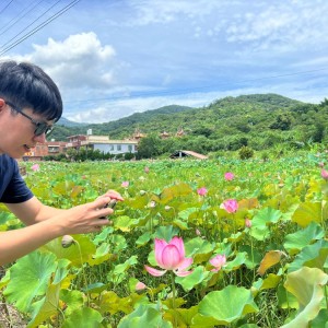 農村不遠走吧！    金山六三農再社區蓮花遊程即起報名
