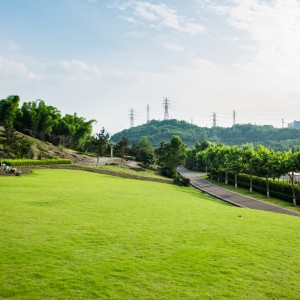 台灣綠能土地使用衝突與社區影響：再生能源發展的社會與環境挑戰