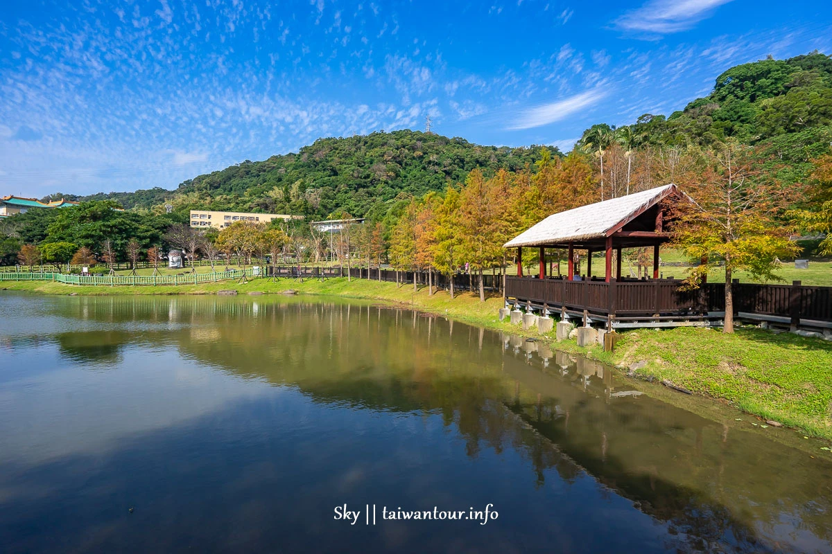 【原住民文化主題公園】台北雲山水IG落羽松秘境景點.交通 【原住民文化主題公園】台北雲山水IG落羽松秘境景點.交通