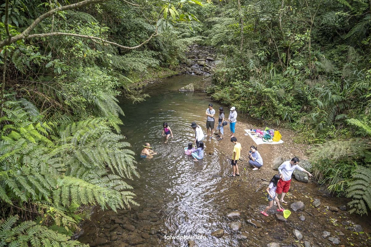 【金瓜寮魚蕨步道.蕨類步道】新北坪林親子玩水景點 【金瓜寮魚蕨步道.蕨類步道】新北坪林親子玩水景點