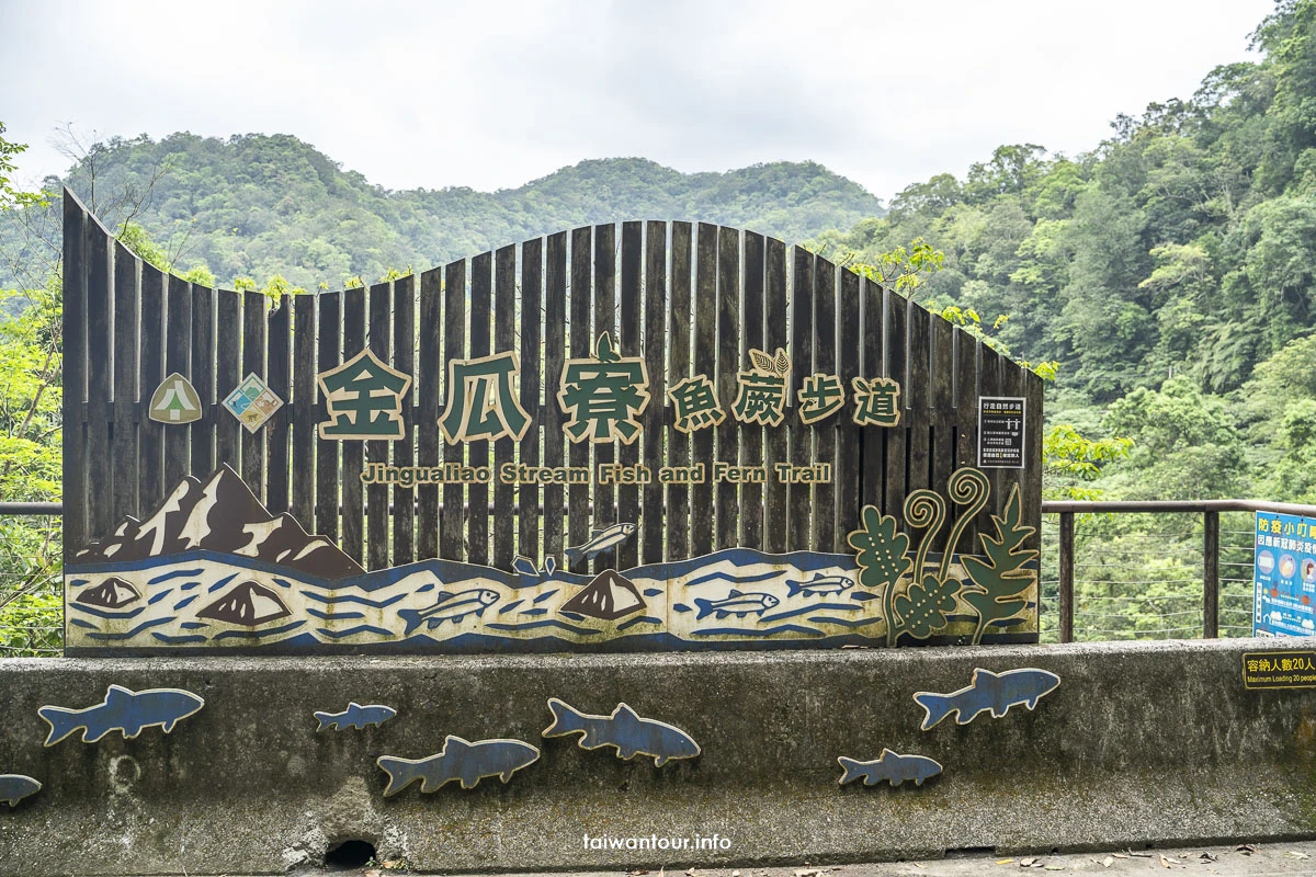 【金瓜寮魚蕨步道.蕨類步道】新北坪林親子玩水景點 【金瓜寮魚蕨步道.蕨類步道】新北坪林親子玩水景點