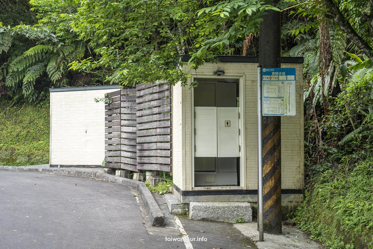 【金瓜寮魚蕨步道.蕨類步道】新北坪林親子玩水景點