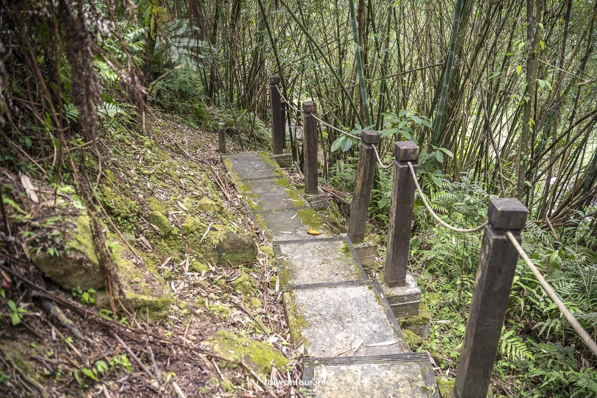 【金瓜寮魚蕨步道.蕨類步道】新北坪林親子玩水景點 【金瓜寮魚蕨步道.蕨類步道】新北坪林親子玩水景點