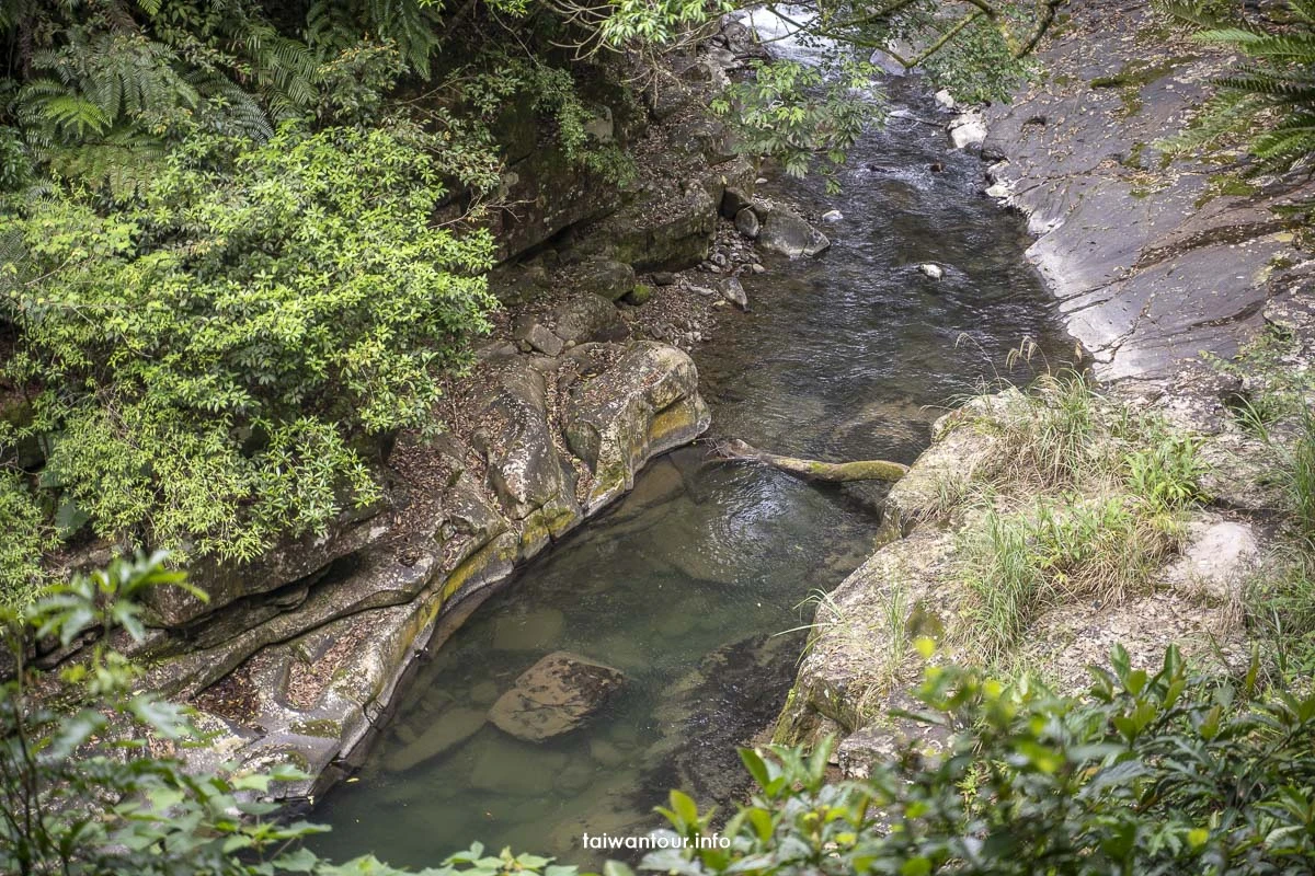 【金瓜寮魚蕨步道.蕨類步道】新北坪林親子玩水景點