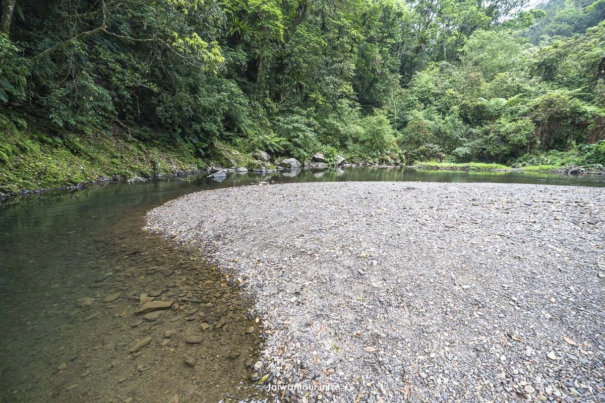 【金瓜寮魚蕨步道.蕨類步道】新北坪林親子玩水景點
