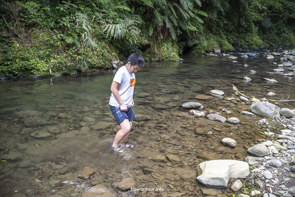 【金瓜寮魚蕨步道.蕨類步道】新北坪林親子玩水景點 【金瓜寮魚蕨步道.蕨類步道】新北坪林親子玩水景點