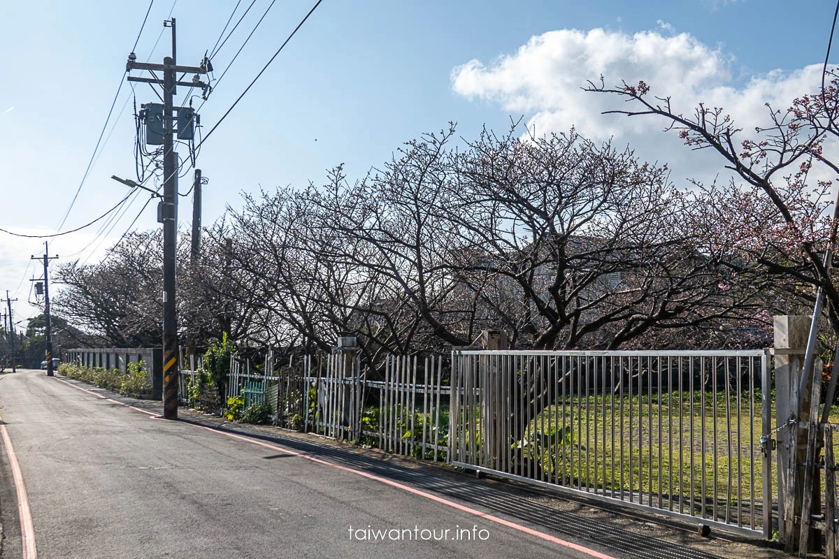 【鵝尾山水田步道】台北市陽明山親子景點.交通