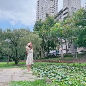 荷與、睡蓮北投公園一次看　為夏荷帶來一片嶄新風貌