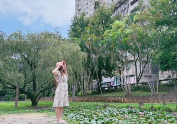 荷與、睡蓮北投公園一次看　為夏荷帶來一片嶄新風貌