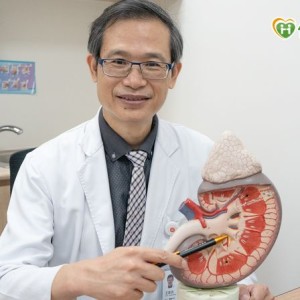 研究觀察：乙醯半胱胺酸抗發炎機制　未來可望應用於腎病控制輔助
