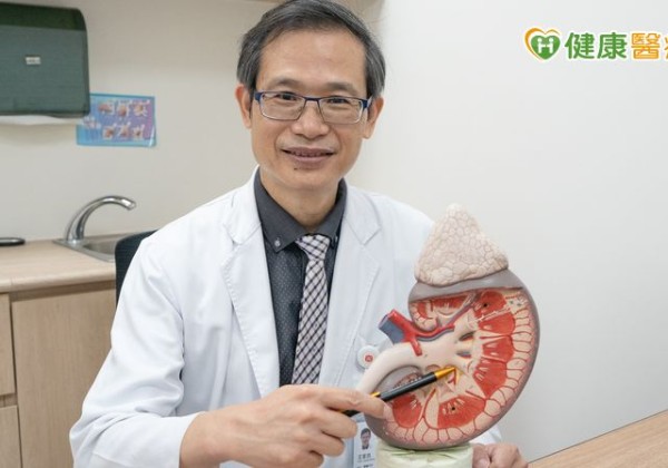 研究觀察：乙醯半胱胺酸抗發炎機制　未來可望應用於腎病控制輔助