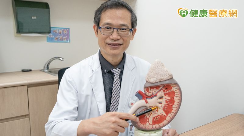 研究觀察:乙醯半胱胺酸抗發炎機制 未來可望應用於腎病控制輔助 研究觀察:乙醯半胱胺酸抗發炎機制 未來可望應用於腎病控制輔助