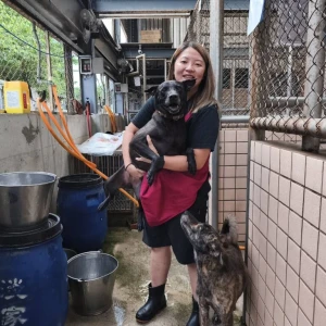 國際學生獻愛心　淡水動物之家浪浪迎來巴拉圭天使