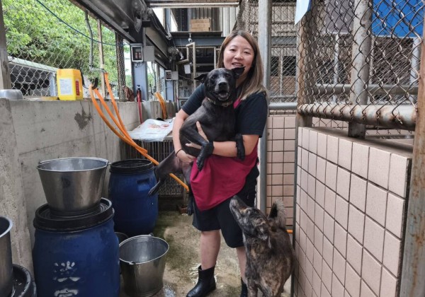 國際學生獻愛心　淡水動物之家浪浪迎來巴拉圭天使