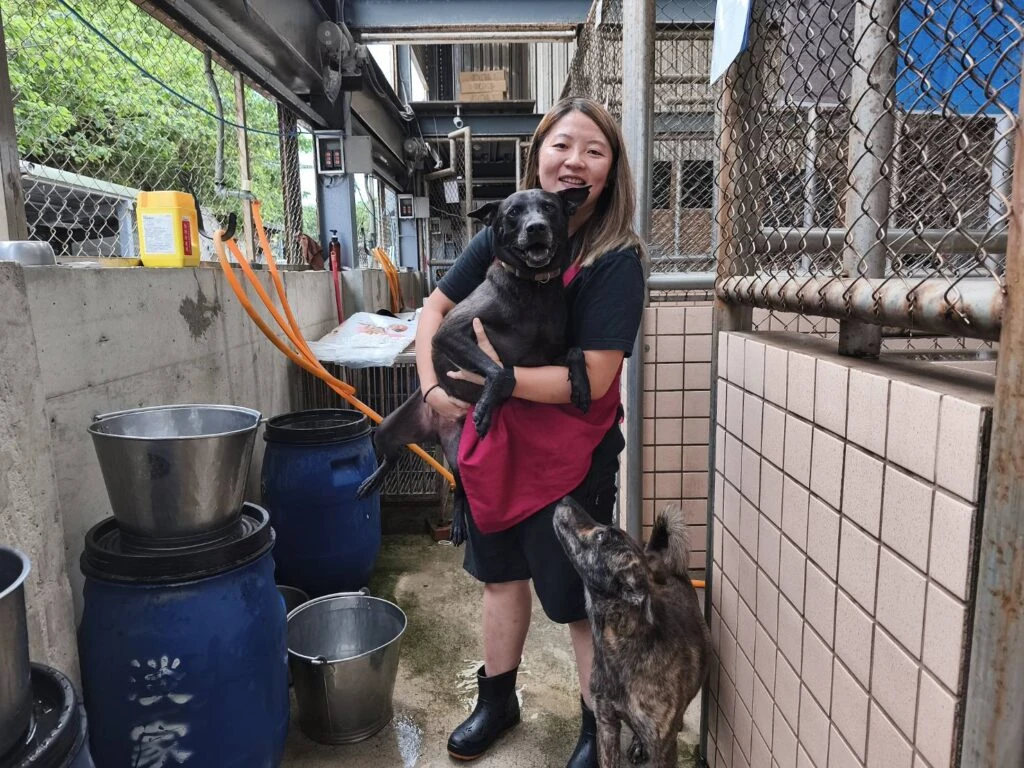 國際學生獻愛心　淡水動物之家浪浪迎來巴拉圭天使