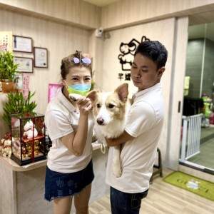 芊嬌寶貝寵物美學旅社真心用愛陪伴您的毛孩