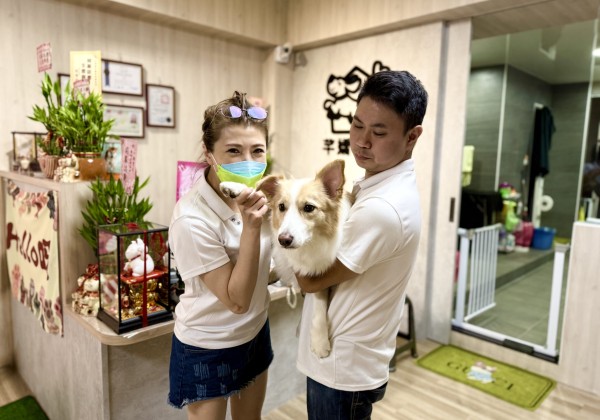 芊嬌寶貝寵物美學旅社真心用愛陪伴您的毛孩
