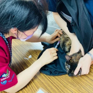 超好玩的《不浪了！踩街公益市集》7/26 西門町熱力展開！藝人表演、免費疫苗好康一次看